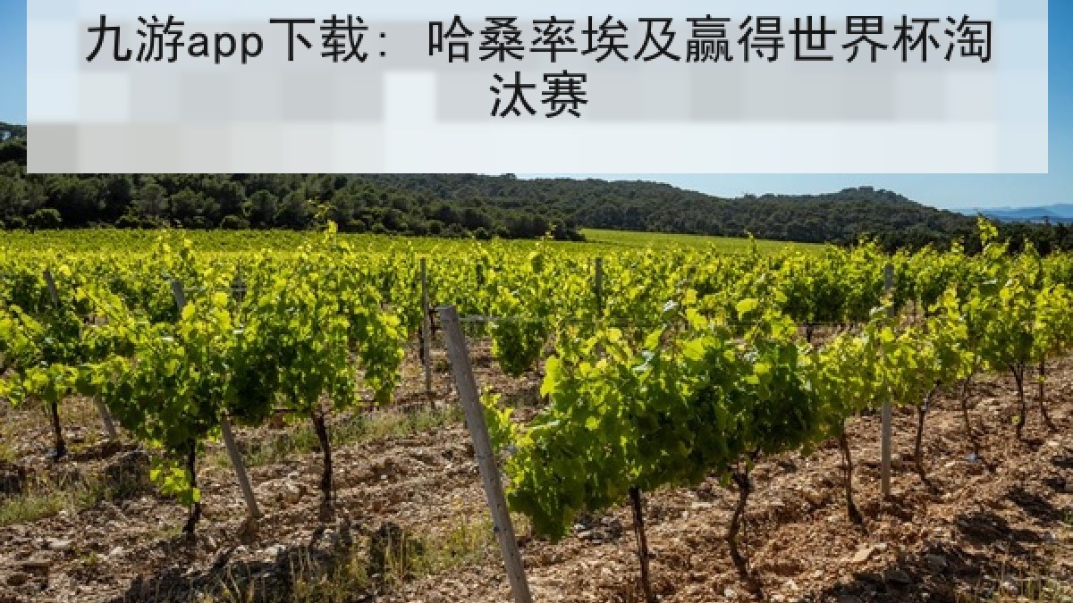 九游app下载: 哈桑率埃及赢得世界杯淘汰赛 九游app下载: 哈桑率埃及赢得世界杯淘汰赛