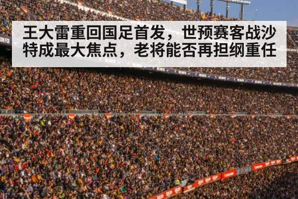 football stadium crowd